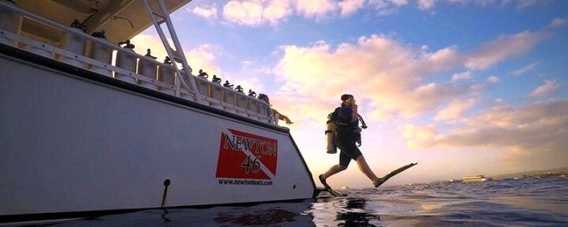 Mergulho noturno em Honolulu