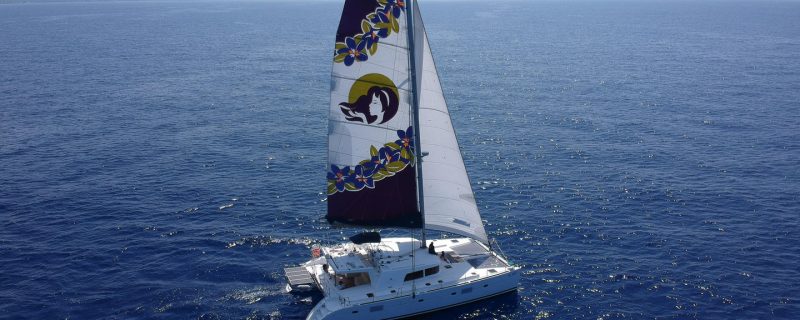 Panoramische zeiltocht in Waikiki met cocktails