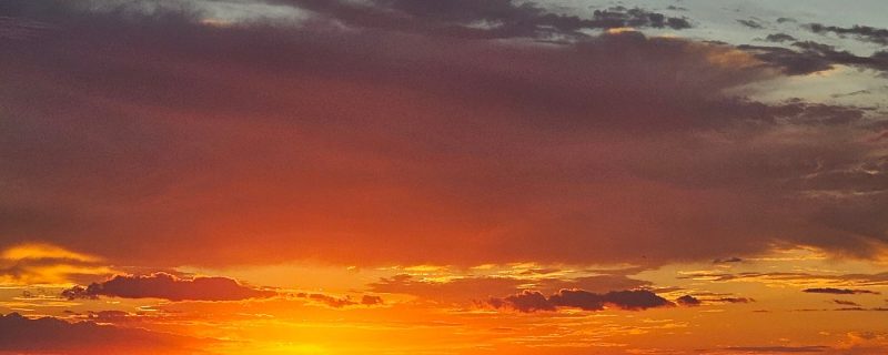 24277-sunset-catamaran-trip-honolulu-1701699659