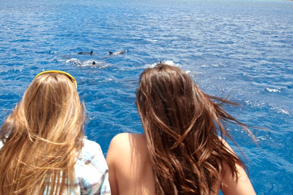 24305-powerboat-wildlife-watching-in-waianae-1701711447