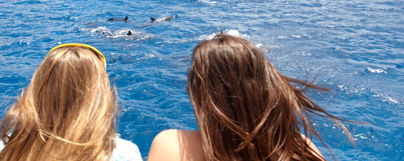 24305-powerboat-wildlife-watching-in-waianae-1701711447