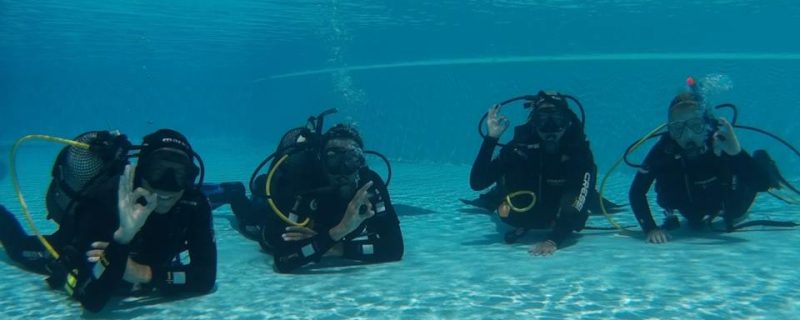 2440-cover-for-try-scuba-diving-in-madeira-1575398006