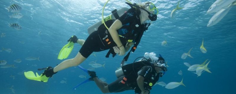 2559-cover-for-scuba-diver-course-in-gran-canaria-1575398064