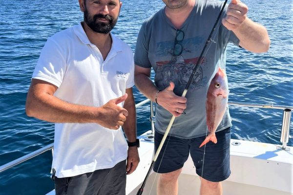 25904-sport-fishing-bolhas-tours-1711544995