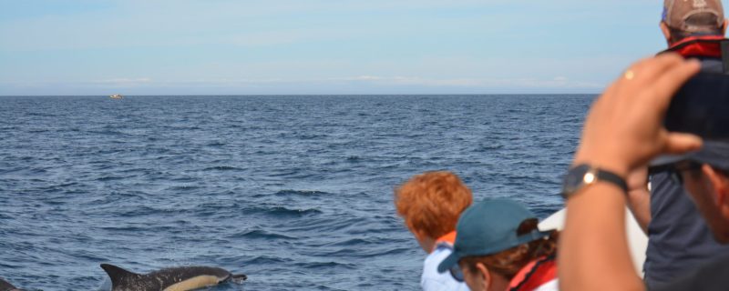 26071-dsc_0116-1711962407