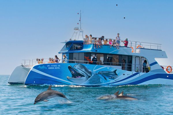 26995-dolphin-watching-on-a-catamaran-in-lagos-1720085395