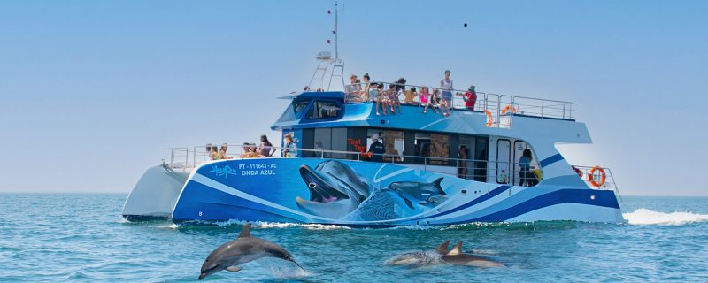 26995-dolphin-watching-on-a-catamaran-in-lagos-1720085395