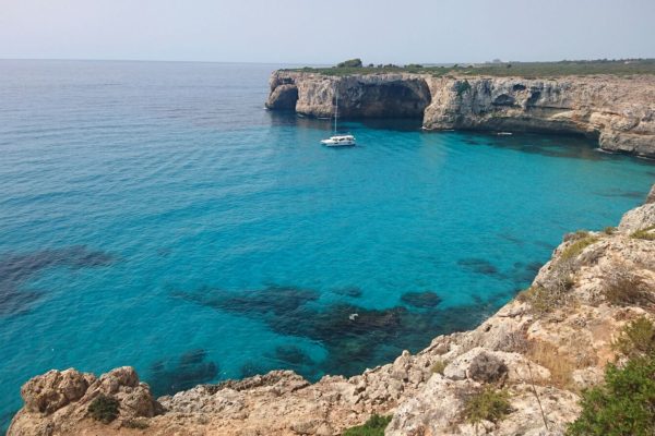 2770-shrine-s320190211-4-pv1tae-1575398182