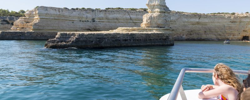 3101-dolphins-in-vilamoura-1575398335