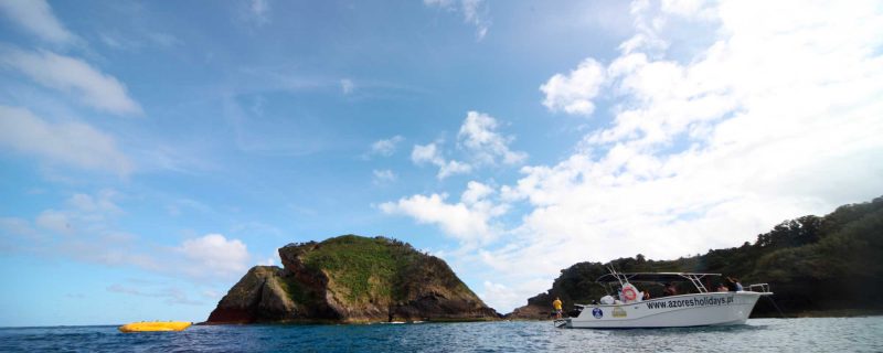 3210-boat-tour-azores-1575398389