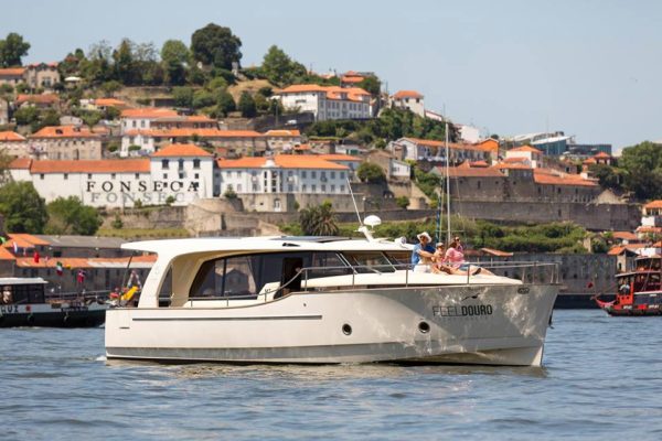 3253-full-day-private-boat-tour-in-porto-cover-1575398410