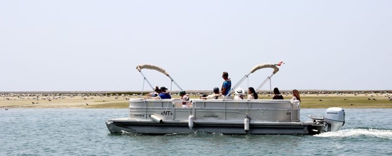 4913-enjoy-a-fun-boat-tour-1581429186