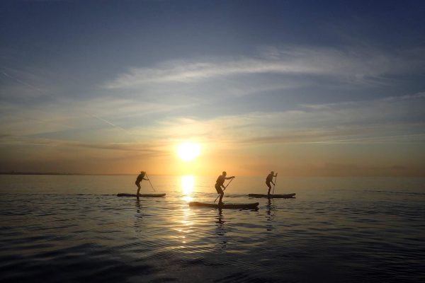 OLYMPUS DIGITALE CAMERA