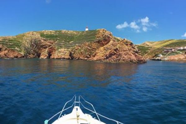 Boat tour to Berlengas