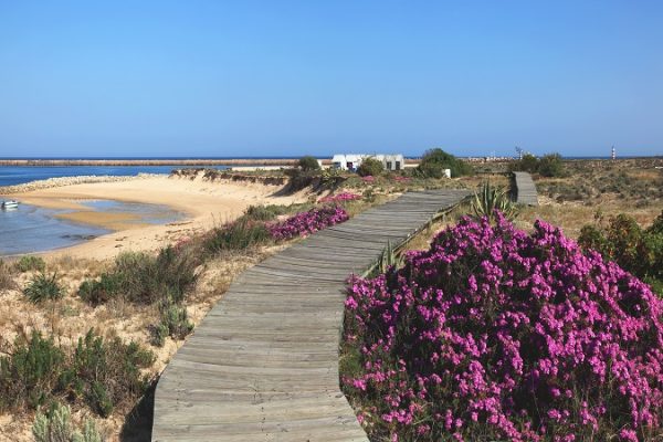 Um calçadão de madeira na Ilha da Barreta; Algarve, Portugal