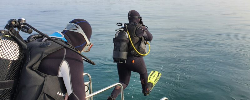 6851-first-time-dive-in-albufeira-1611683146