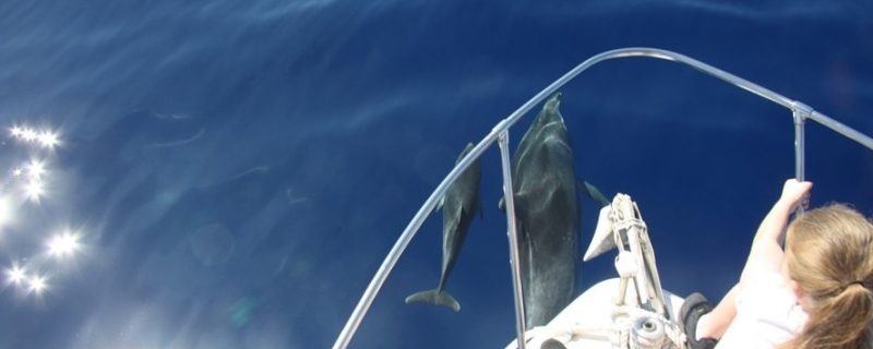 7030-have-a-great-time-in-madeira-1613227221