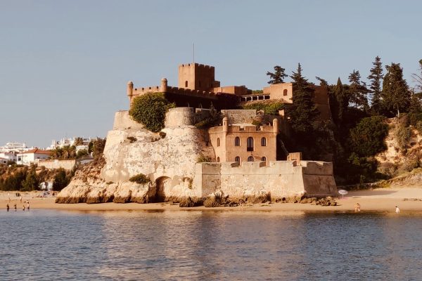 7478-1cac5750-6980-4ec8-a772-dafc0009217d-1-1621949413