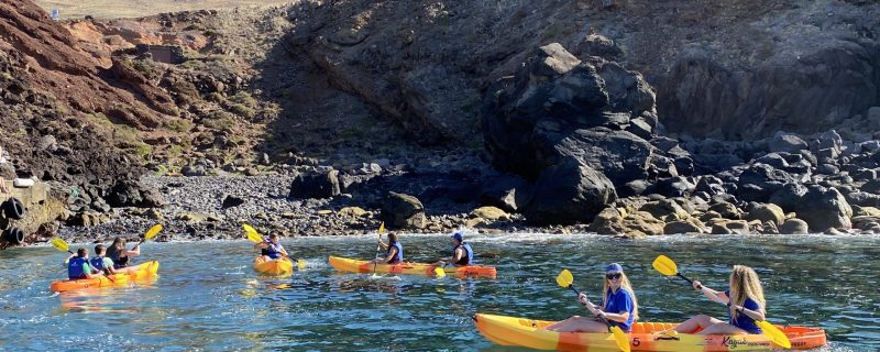 8401-8401-img_3718-1642074780-1642080974