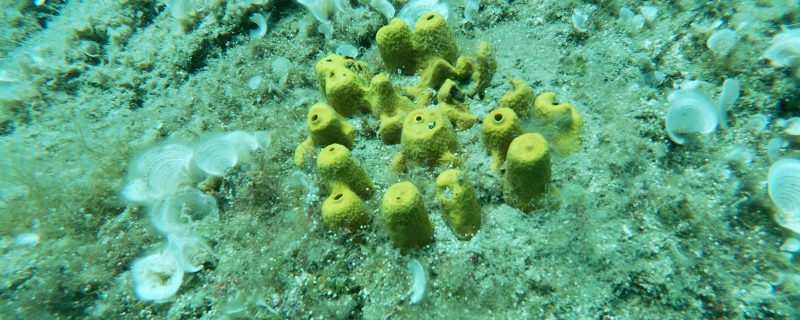 t/sdcard/DCIM/100GOPRO/GOPR6021