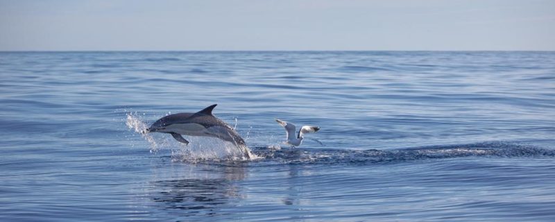 9615-whatsapp-image-2022-01-23-at-21-58-42-1653908239