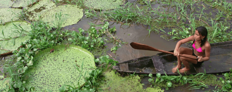 Canoe in Amazonas River