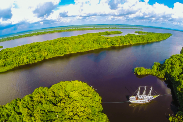 Bootstour zu den Delfinen und zu einem indigenen Dorf ab Manaus