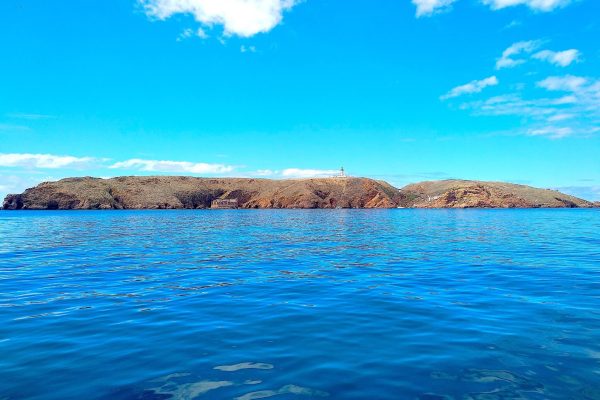 Berlengas Bootsfahrt ab Peniche 1