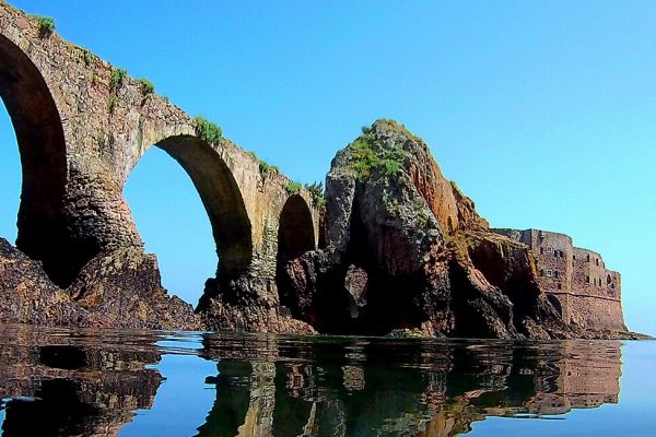 Berlengas Boat Trip from Peniche 4