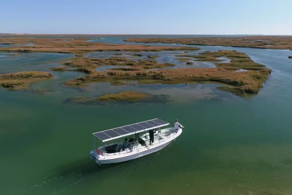 Bird Watching Ria Formosa 4