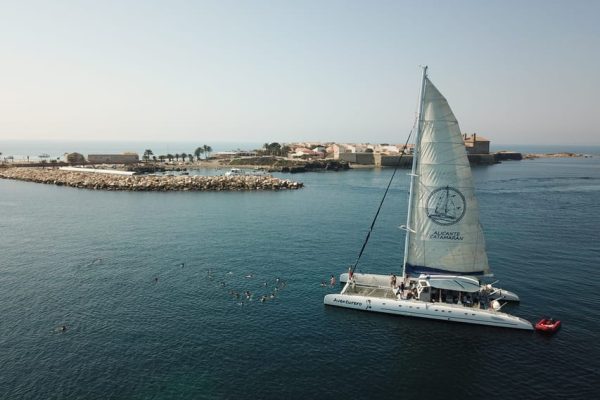Catamarán Alicante 1