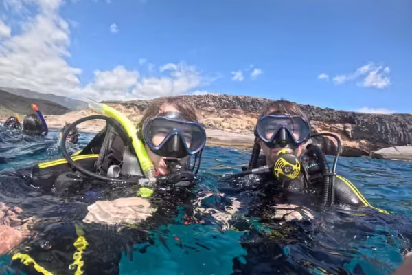 Diving with turtles in Tenerife 1