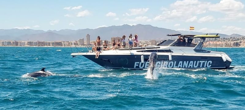 Fuengirola Nautic dolphins 4
