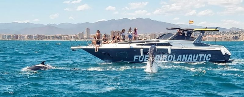 Fuengirola Nautic dolphins 4