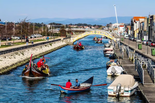 Moliceiro Aveiro 2