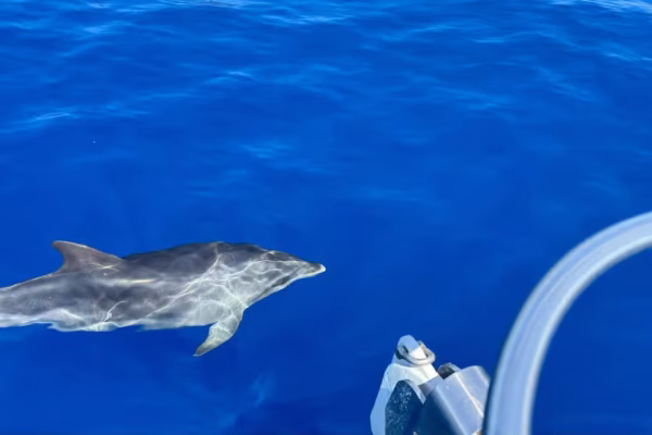 Private Charter Madeira 2