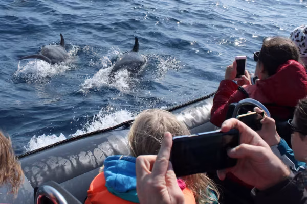 dbfb27f7bb8e13e4646a2c609718b6ff08abb4f4f203a20c069d69c4682110a2